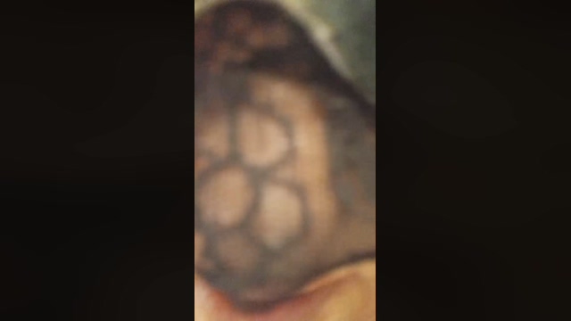 Ape69  30-03-2022